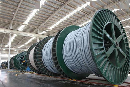 毛利率偏低 新能泰山一季度虧損1412.4萬元