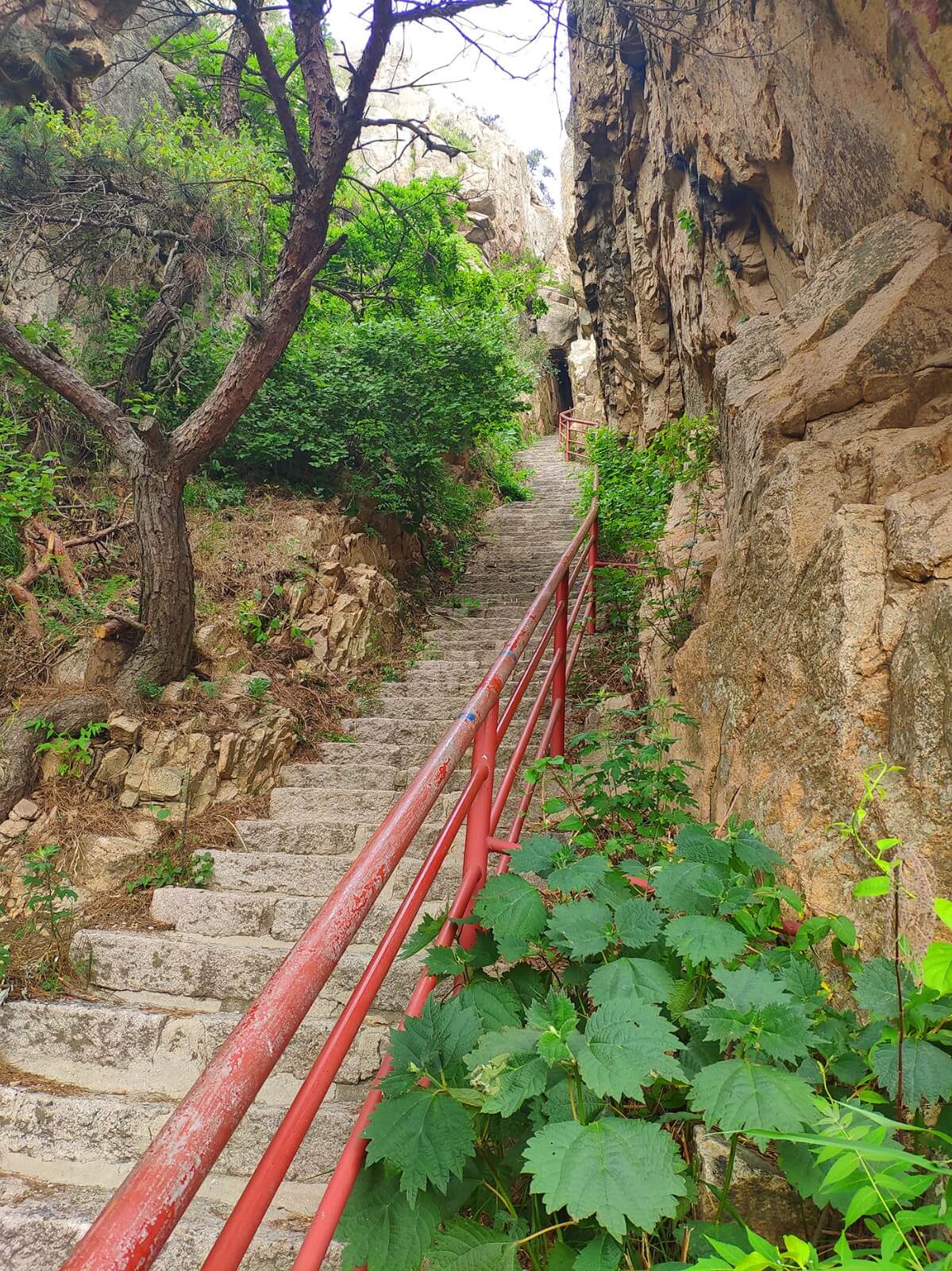 矩陣傳媒戶外團建——櫻桃采摘+登圣經山(圖5)
