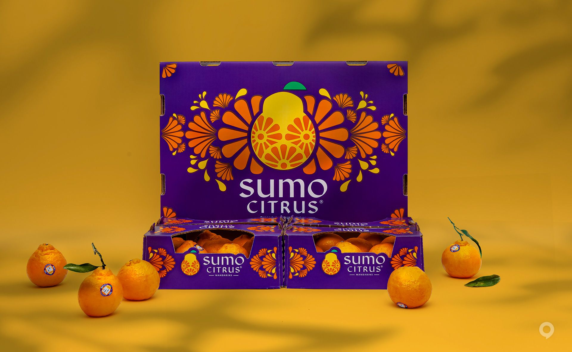 美國Sumo Citrus甜橙包裝設(shè)計欣賞(圖1)