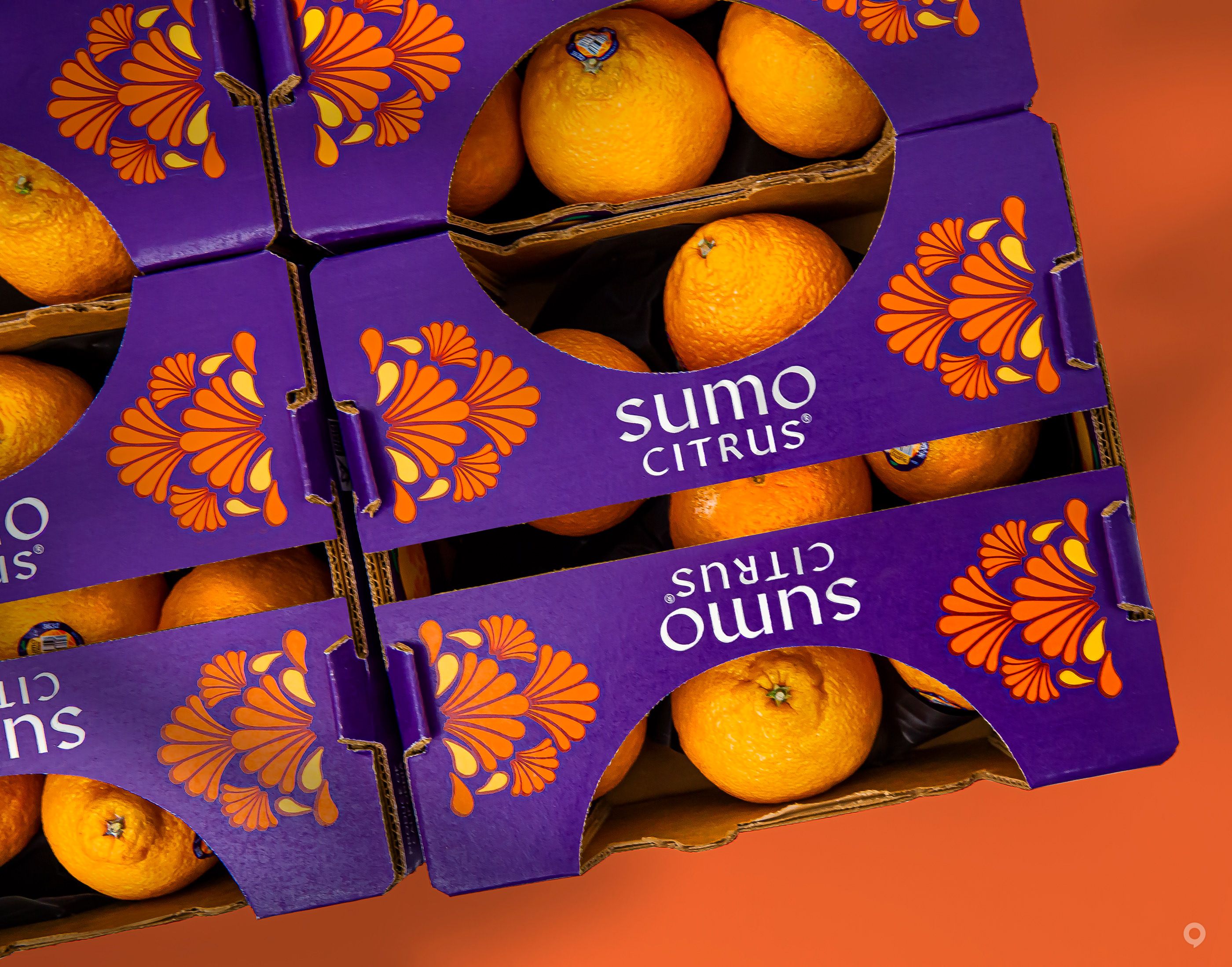 美國Sumo Citrus甜橙包裝設(shè)計欣賞(圖5)