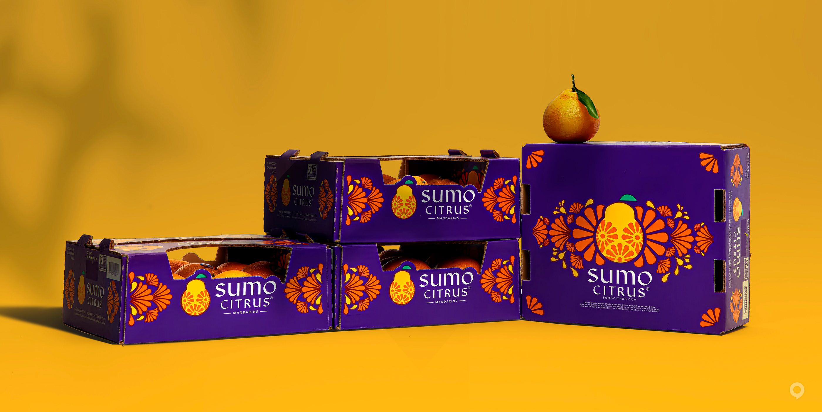 美國Sumo Citrus甜橙包裝設(shè)計欣賞(圖11)
