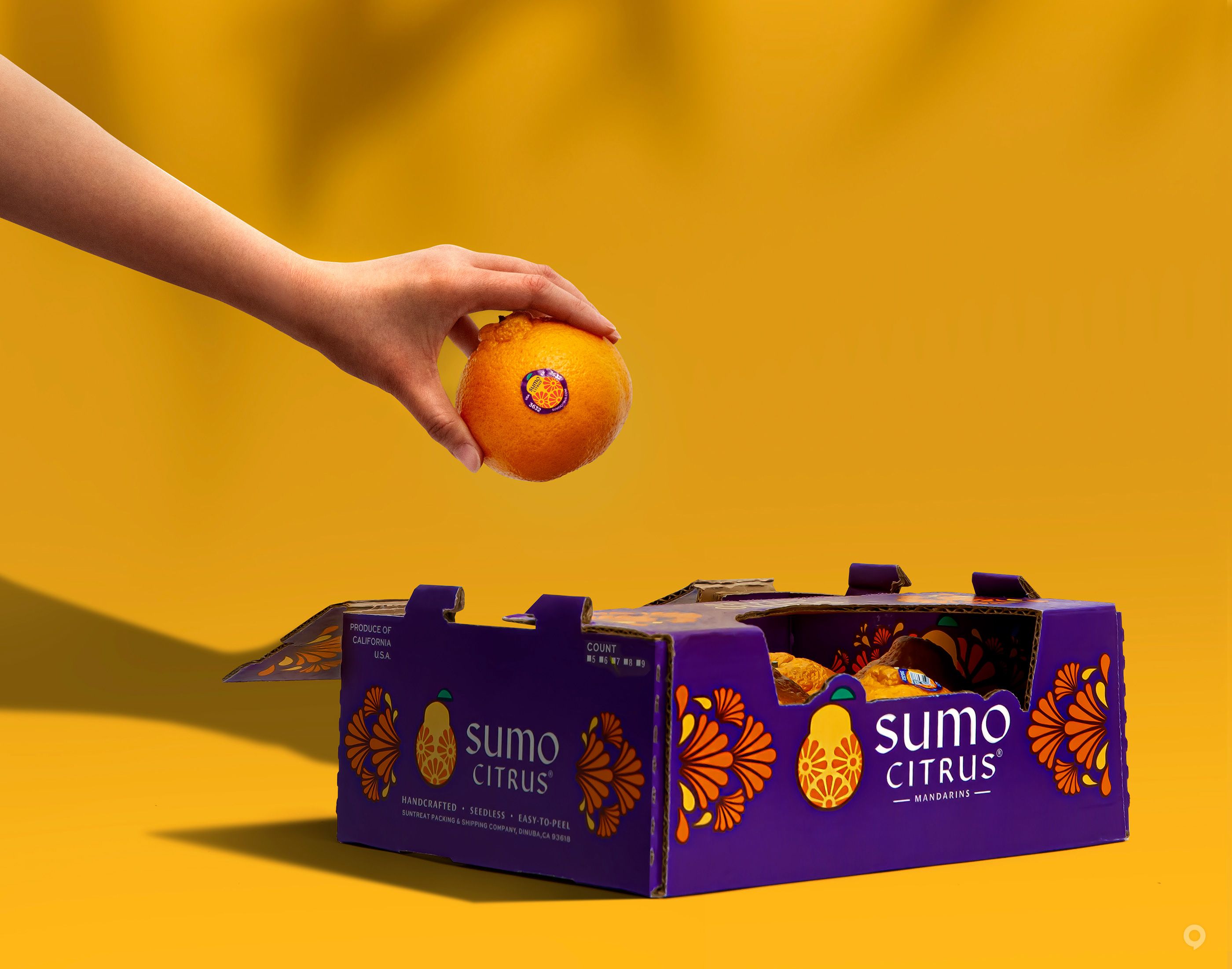 美國Sumo Citrus甜橙包裝設(shè)計欣賞(圖6)