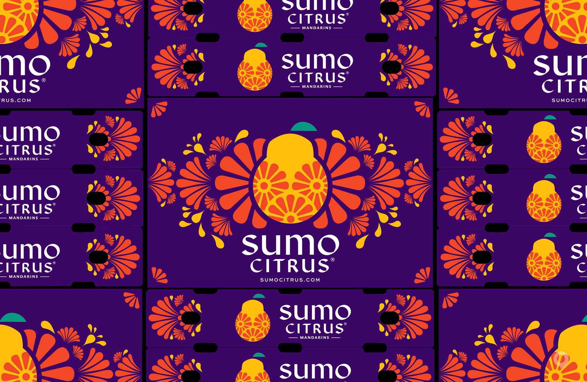 美國Sumo Citrus甜橙包裝設(shè)計欣賞(圖12)