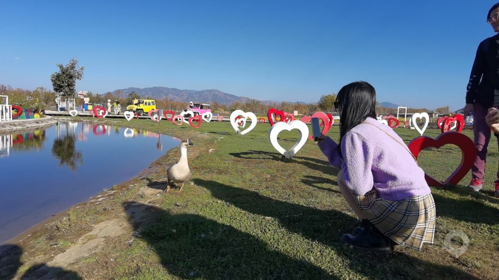 矩陣傳媒團建之旅——云南游記(圖9)