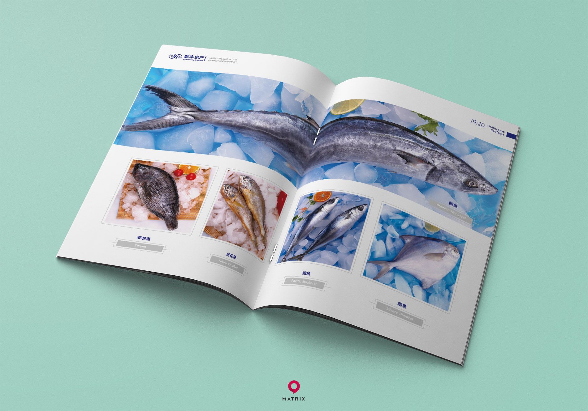 聯豐水產畫冊設計(圖9)