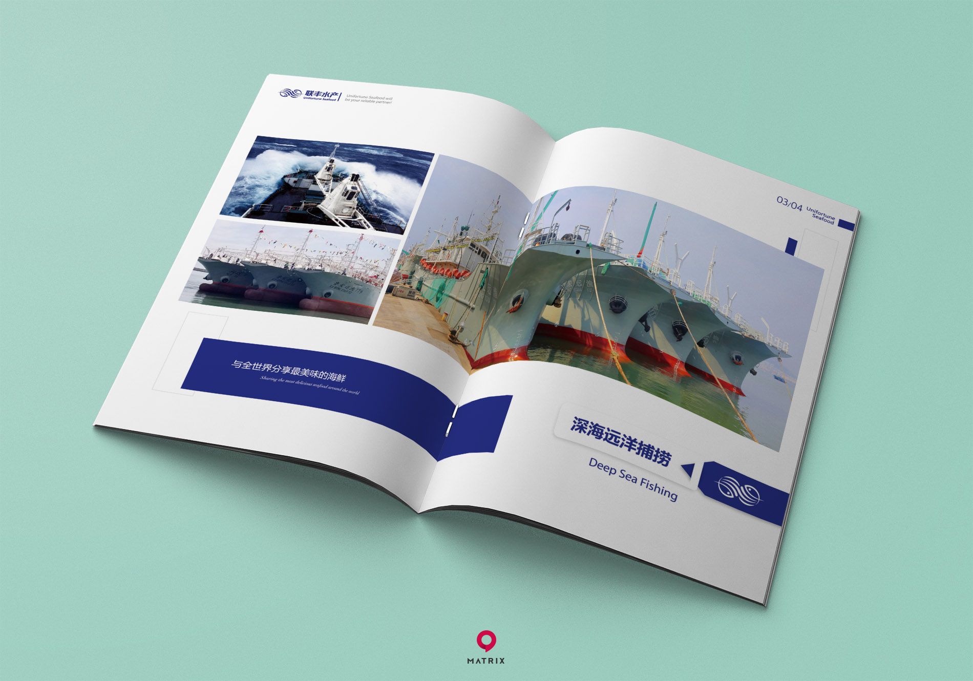 聯豐水產畫冊設計(圖10)